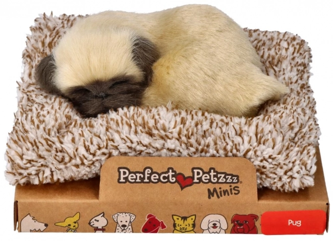 Schattige mopshond puppy Perfect Petzzz