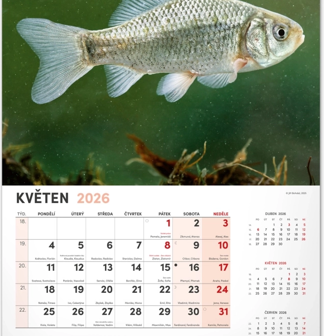 Wandkalender Visserij 2026