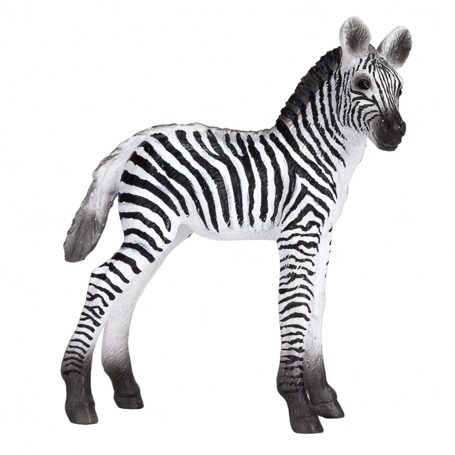 Realistische Zebra-Jungtierfigur