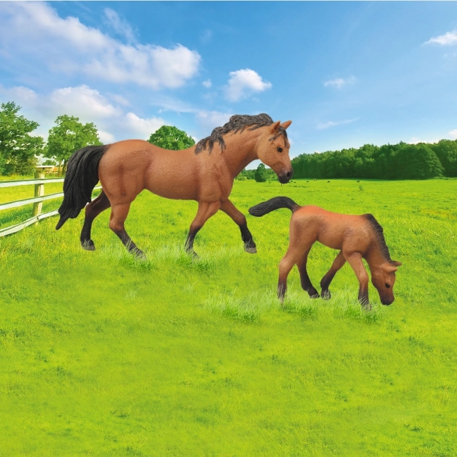 Set van 2 paarden met bruine omheining
