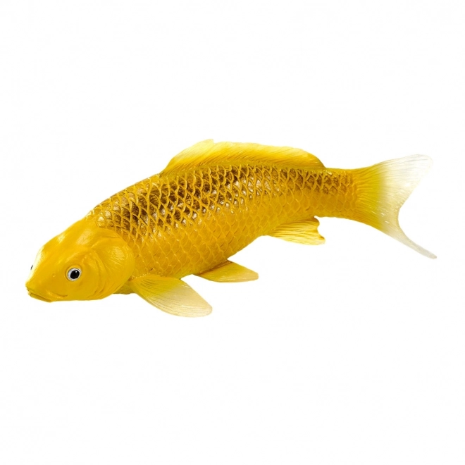 Mojo karper koi Matsuba