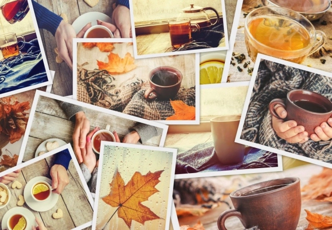 Puzzle GRAFIKA Profitez-en 1000 pièces