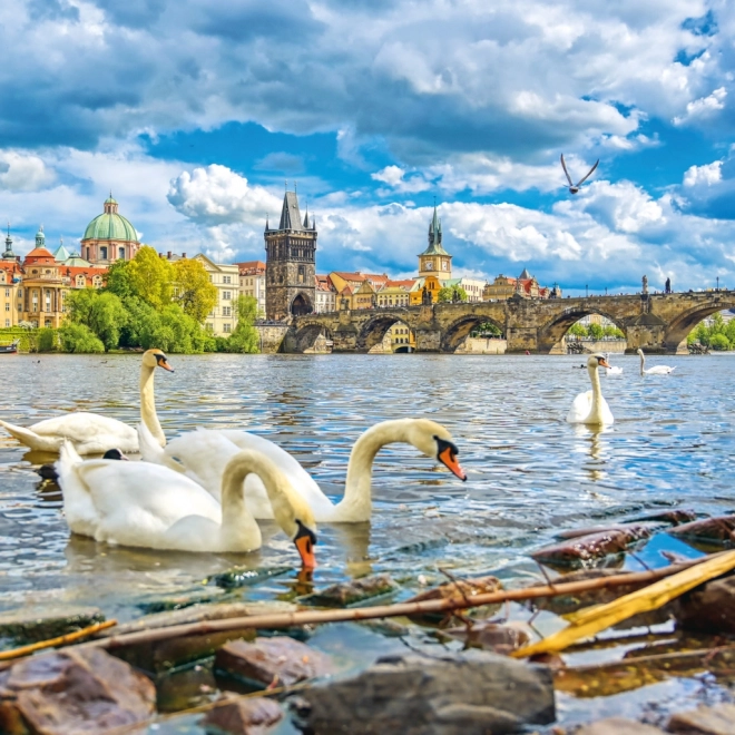 Notitie Kalender Praag 2026