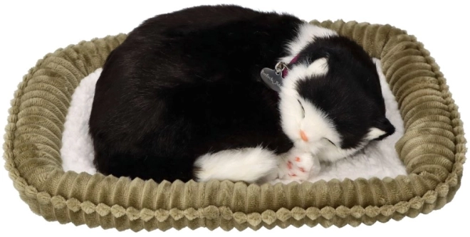 Interactief Speelgoed Perfect Petzzz Zwart-Witte Kat