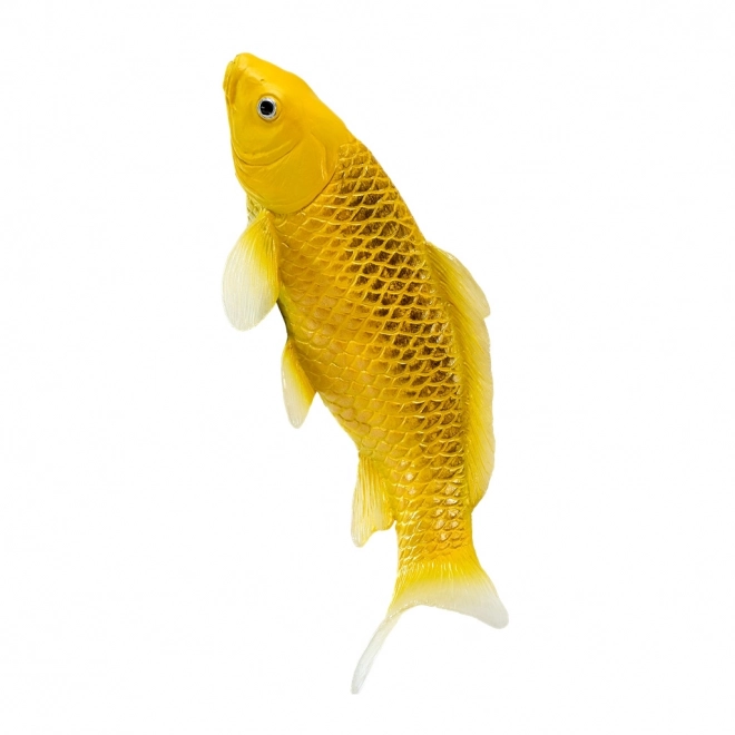 Mojo karper koi Matsuba