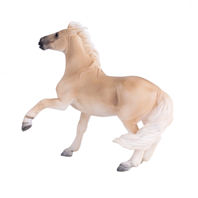 Mojo Brumby Mare