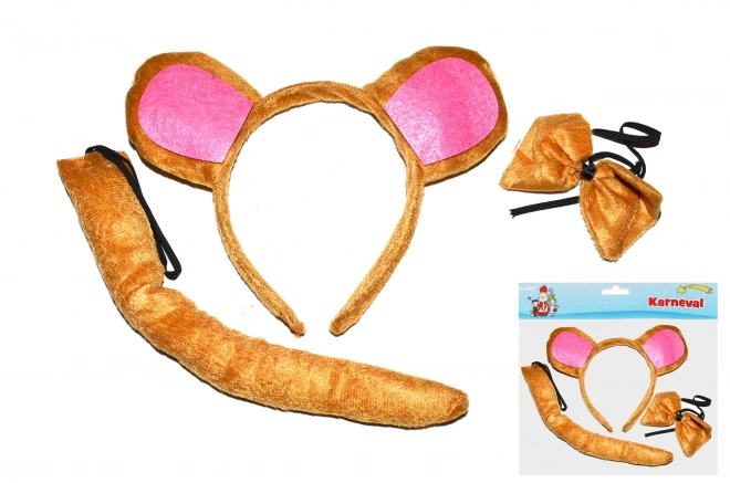 Carnavalsset - aap