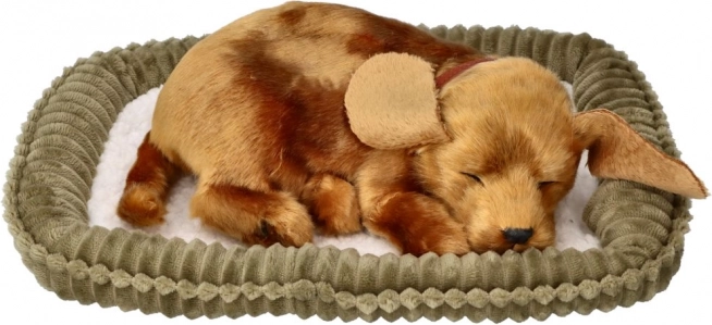 Breathing plush puppy for adoption