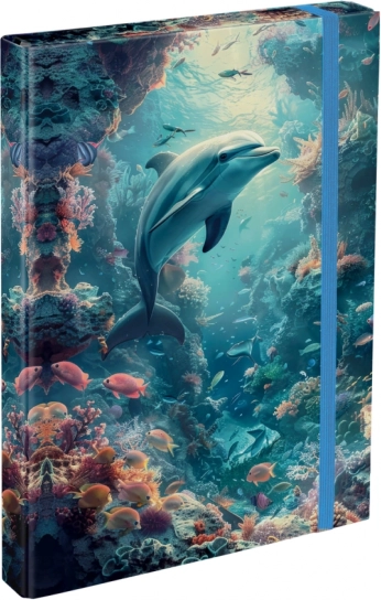 Chemises pour cahiers scolaires A4 Dauphin