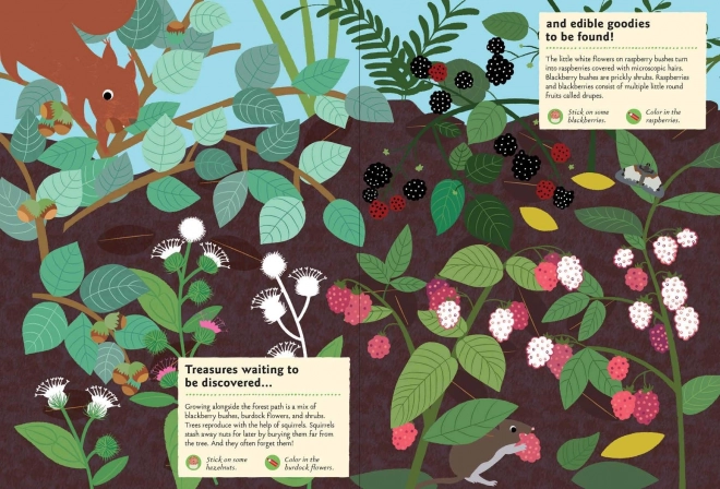 Chronicle Books Activiteitenboek met stickers mijn natuur In het bos