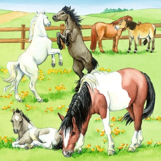 Beautiful pasture full of horses
