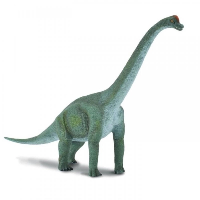 Brachiosaurus-figuur door Collecta