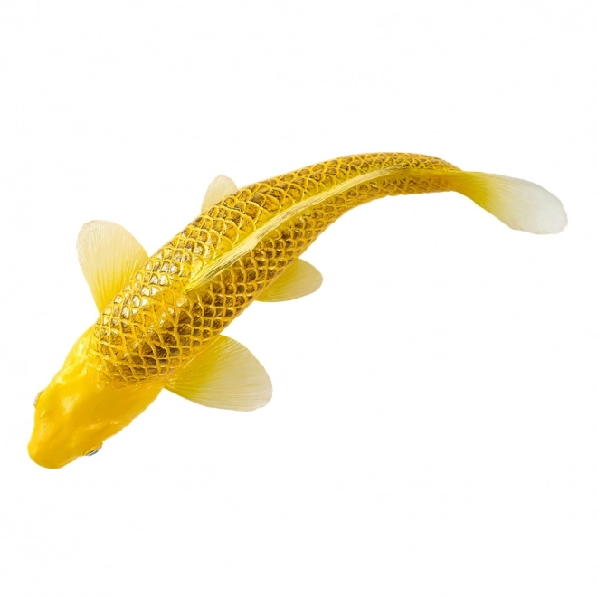 Mojo karper koi Matsuba