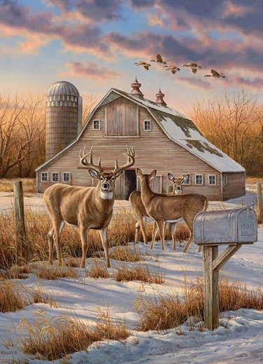 Beau motif hivernal de campagne