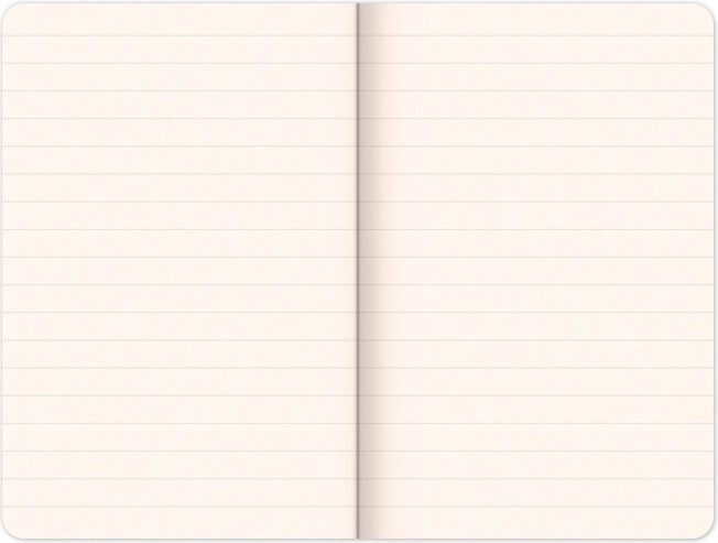 Papier ligné de qualité 100 g/m²