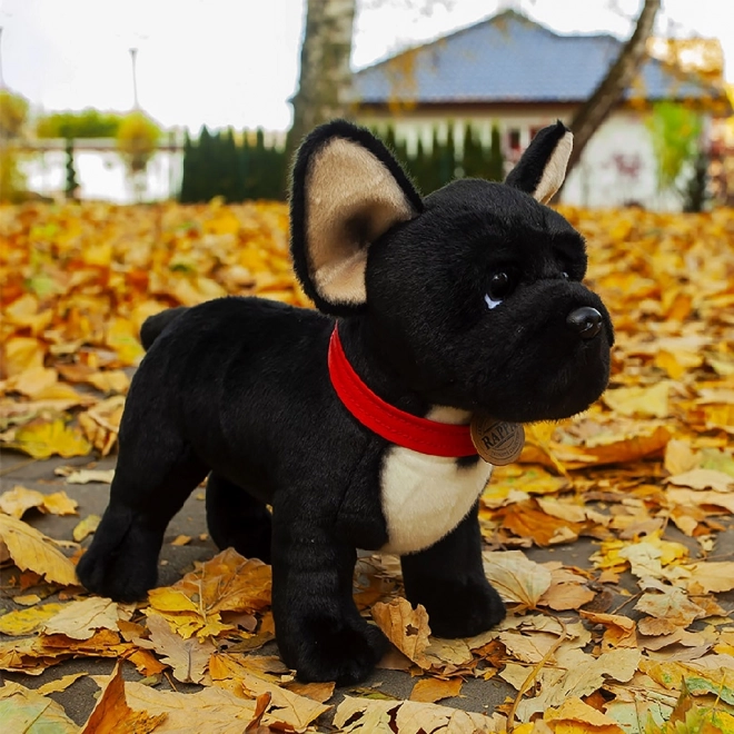 Zwarte Franse bulldog knuffel met halsband staand 30 cm ECO-FRIENDLY