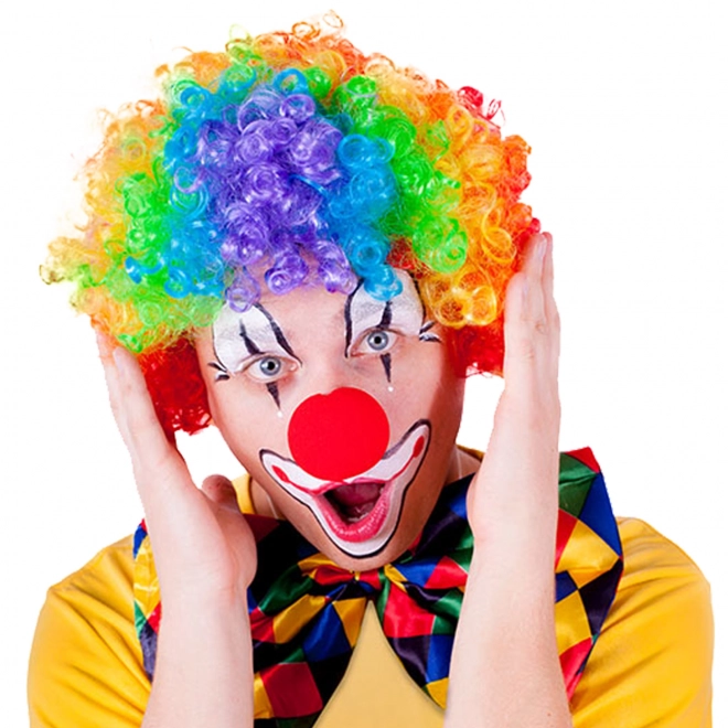 Kleurrijke Clownpruik voor volwassenen