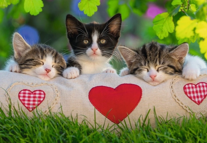 Puzzel 2x24 Kittens