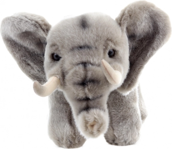 Eco-friendly materials