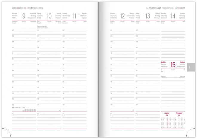 NOTIQUE Wekelijkse agenda Balacron 2025, zilverkleurig, 15 x 21 cm