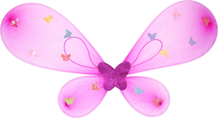 Ailes de papillon et accessoires magiques