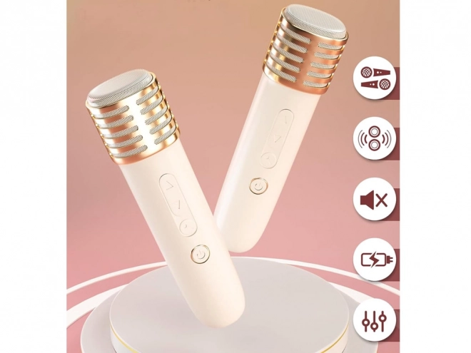 Microfoon met draadloze luidspreker en Bluetooth