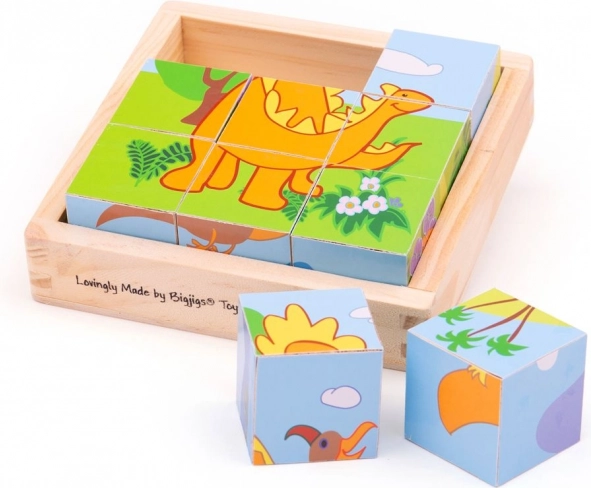 Velkejigs Picture Blocks Dinosaurs 9 Blocks