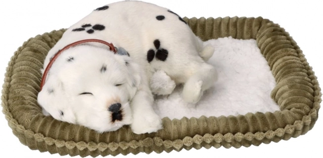 Realistic Breathing Dalmatian PERFECT PETZZZ for Adoption