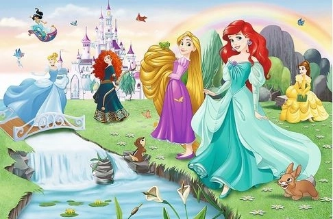 Puzzel Ontmoet de prinsessen 33x22cm 60 stukjes in doos 21x14x4cm