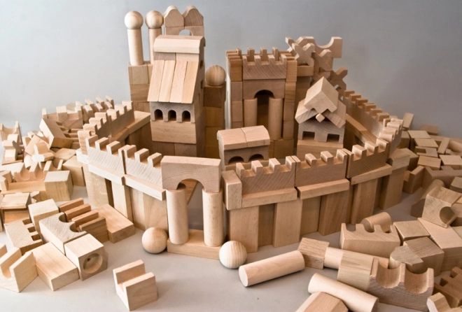 EkoToys Houten Blokken Natuurlijke 220 stuks XL