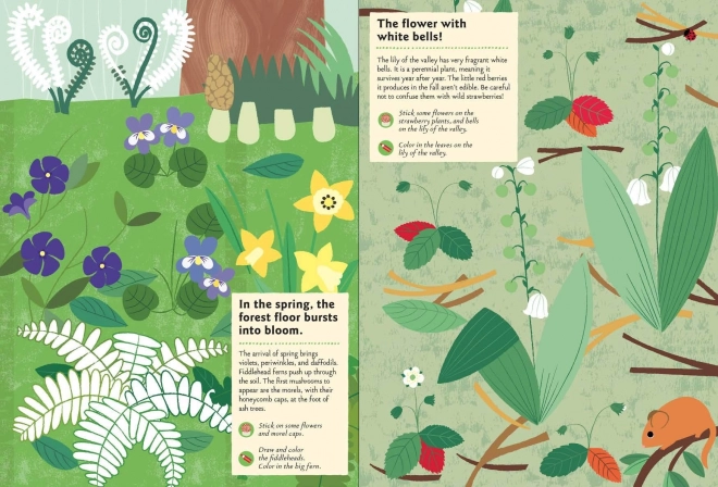 Chronicle Books Activiteitenboek met stickers mijn natuur In het bos