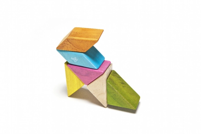Magnetische bouwset voor de zak Tegu Tints