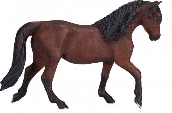 Morgan-Palomino-Pferd