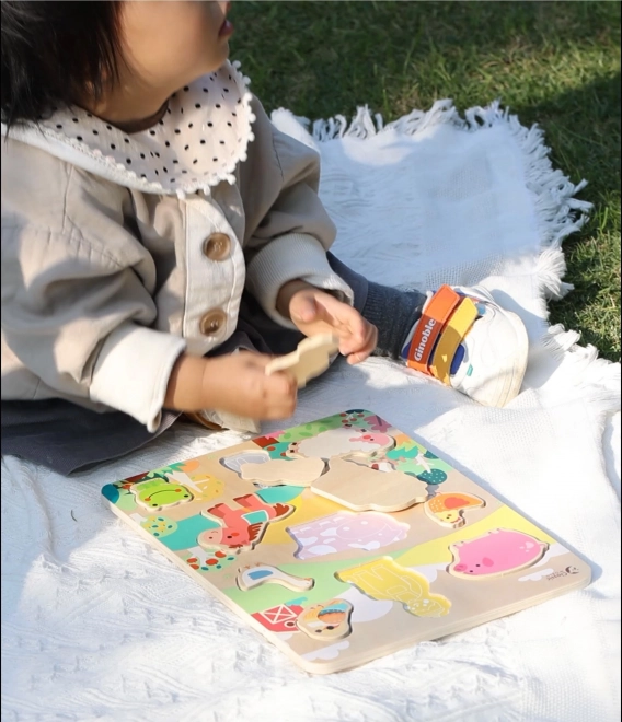 Wooden Farm Animal Matching Puzzle