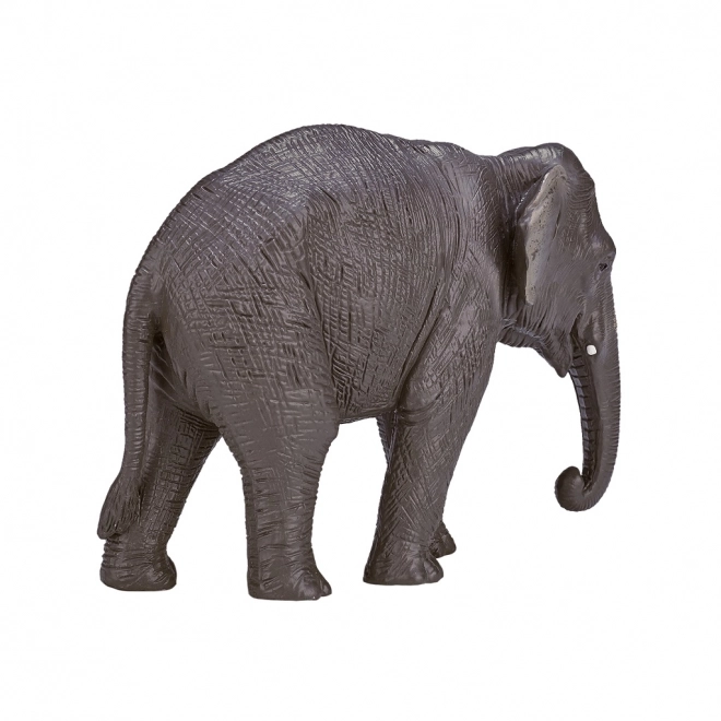 Mojo Indiase olifant