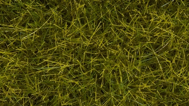 Noch statisch gras wilde weide 12 mm