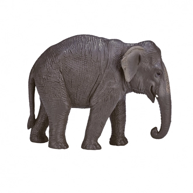 Mojo Indiase olifant