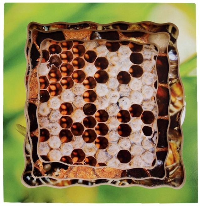 Just Jigsaws 600 Biene – geschichtetes Holzpuzzle