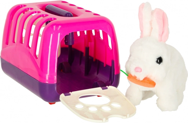 Lapin Interactif avec Carotte