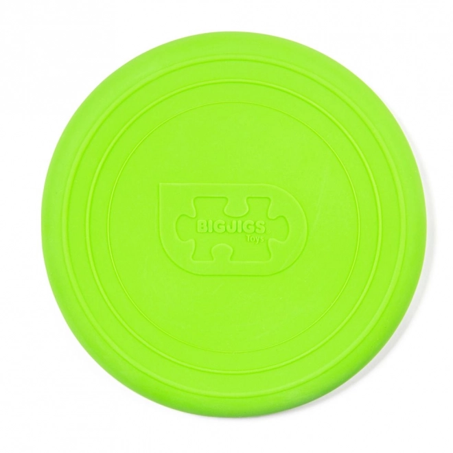 Frisbee Bigjigs Toys green for outdoor fun