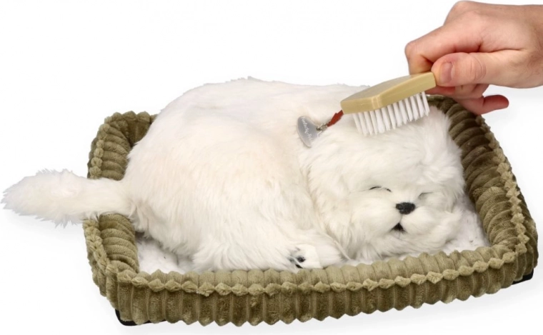 Verzorgen en knuffelen zoals met een echte hond