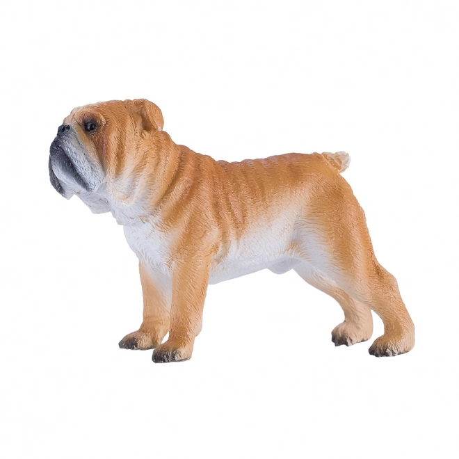 Mojo Engelse Bulldog