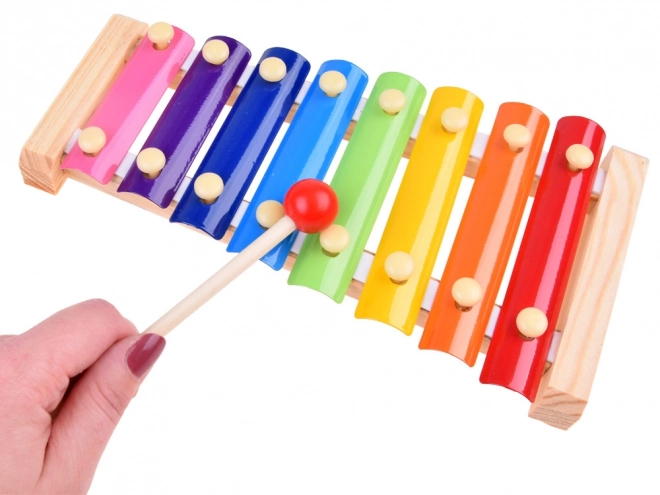 Jouets musicaux colorés IN0152