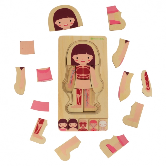 Educational Wooden Body Construction Puzzle Montessori for Girls