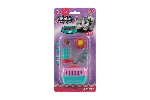 Poes met draagbare doos en accessoires