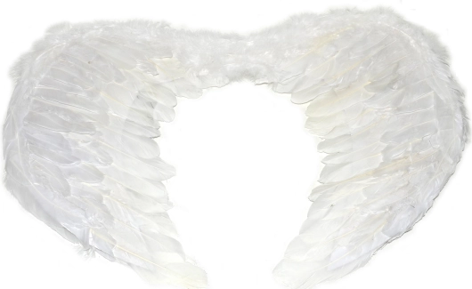 Large Angel Wings
