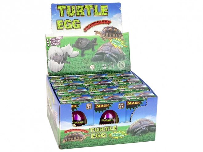 Magisch Schildpad Ei dat Groeit 6 cm