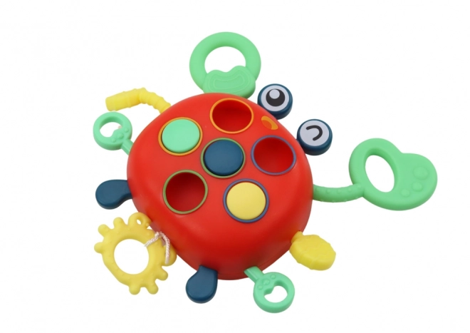 Zintuiglijke krab interactieve educatieve kinderspeeltje bijtring