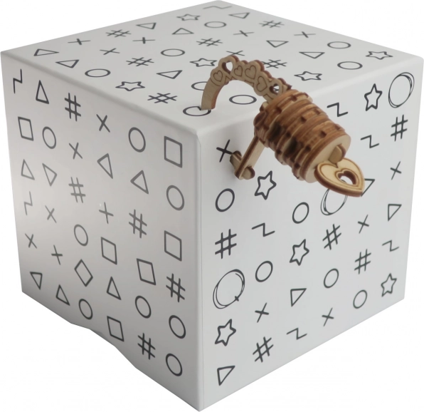 Mystery Box with Code Lock