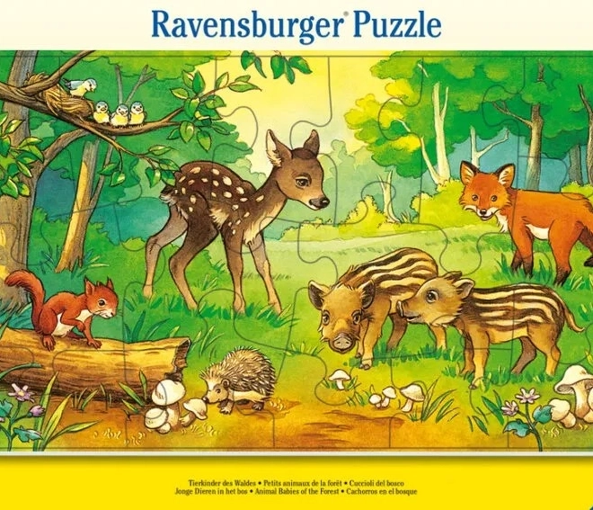 Puzzel 15 stuks Bosdieren